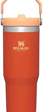 Insulated Tumbler - 30 Ounce Capacity For Active Lifestyles